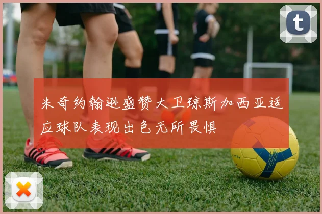米奇约翰逊盛赞大卫琼斯加西亚适应球队表现出色无所畏惧